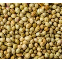 Coriander Seed Biji Ketumbar 20g [KLANG VALLEY ONLY]