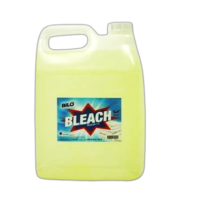 Bleach 10L [KLANG VALLEY ONLY]