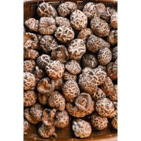 Premium Dried Mushroom 120g [KLANG VALLEY ONLY]